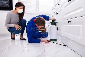 Real Estate Pest Inspections in St Helen, MI